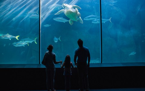 Monterey Bay Aquarium Family Package