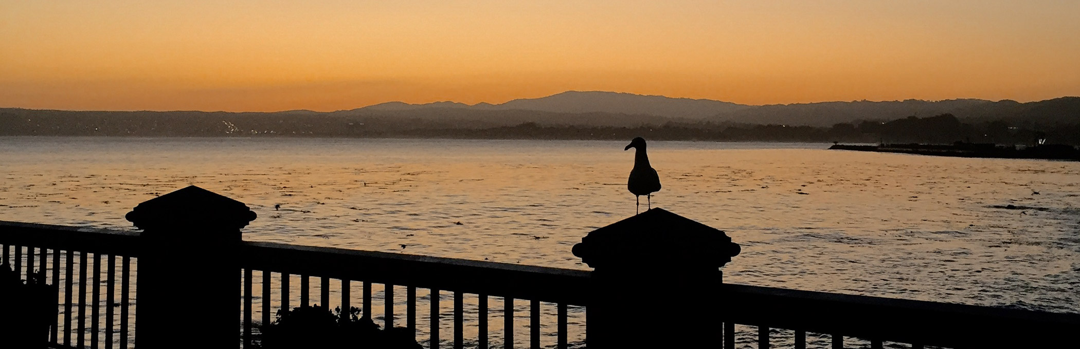Sunset view of ocean with bird perched on the fence