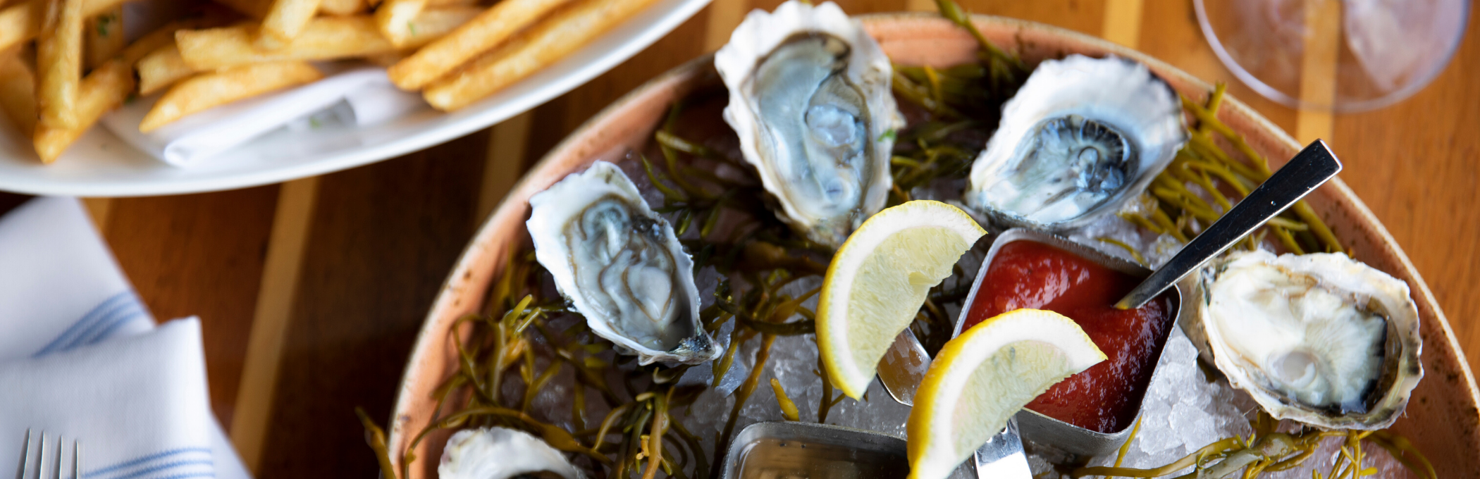 fresh oysters header