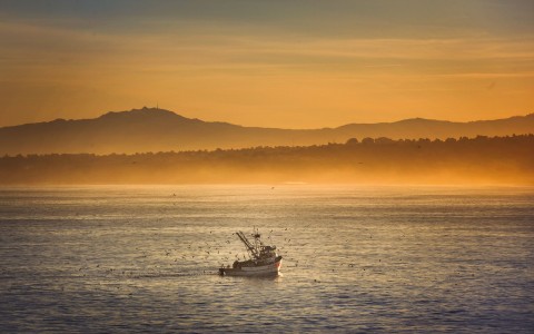 fishing boat on the water at sunset gallery 13