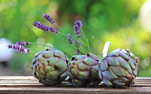 artichokesonatable