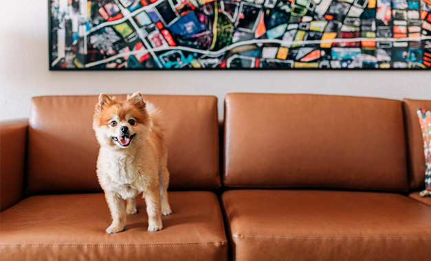 montrosewesthollywood homepage topreasonstostay image 04