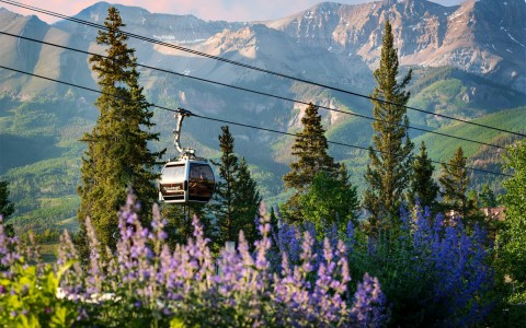 a gondola lift on a spring day with lots of green trees and colorful flowers