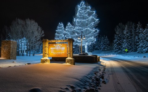 a lit up wooden sign with tall trees just behind it at night