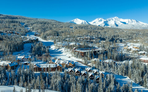 a view of the property during the day with snow covered rooftops and tall green trees