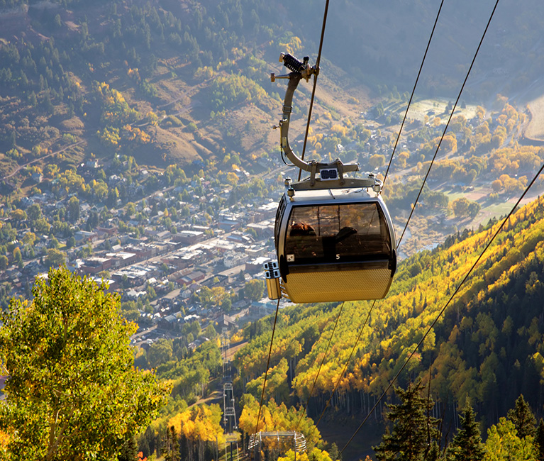 a close up of a gondola over the tall yellow and green trees