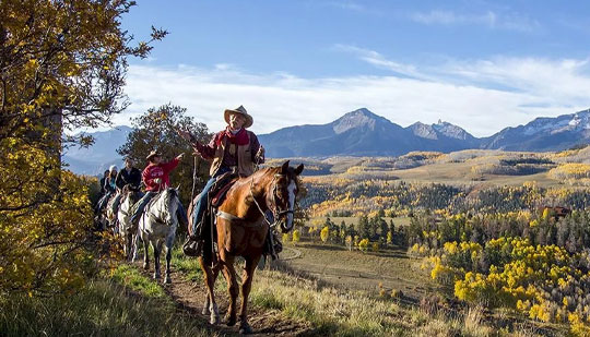 people riding on horses during the day