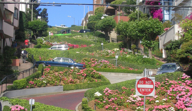 Lombard Street in San Francisco with cars on the road pink flowers curved road and green foliage