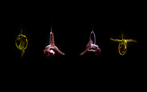 acrobats