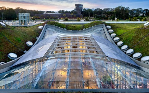 California Academy of Science