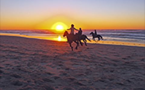 3 people cantering on horses along the shore