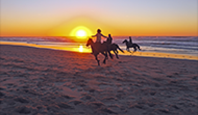 3 people cantering on horses along the shore