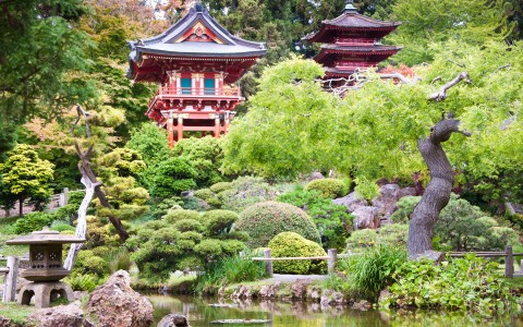 zen asian garden filled with bonsai trees and a pagoda
