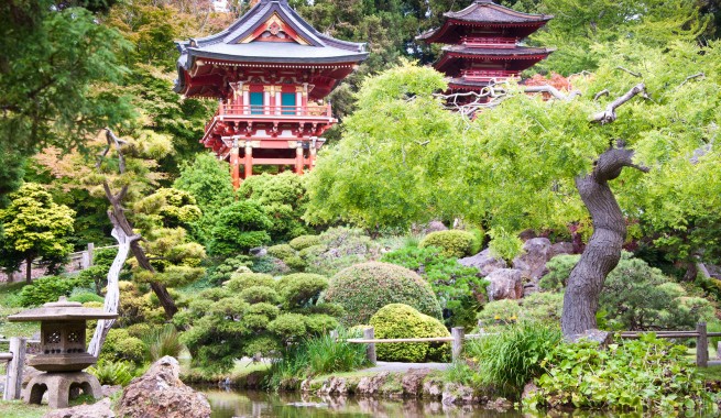 zen asian garden filled with bonsai trees and a pagoda