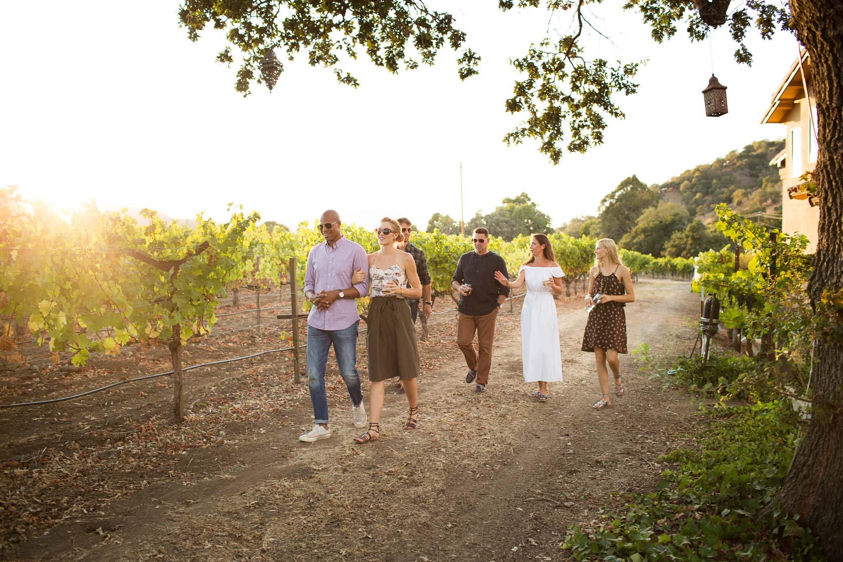 A group of people walking through the Napa vineyard
