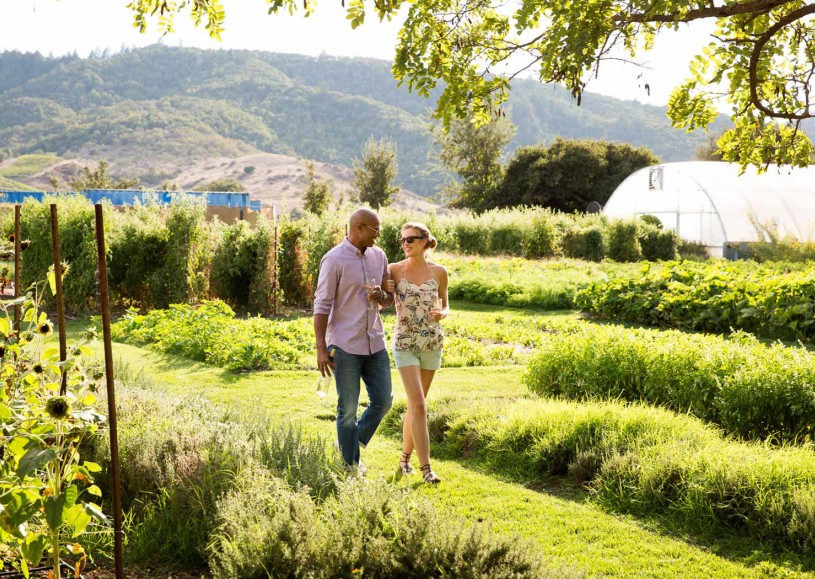 Explore the neighboring vineyard at your leisure, or take a private tour.