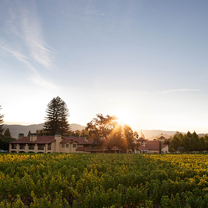 View of the vineyard with the property on the background and a sunbeam