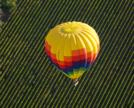 Hot air balloon over vineyard