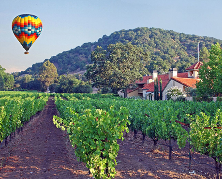 Red, yellow and blue hot air balloon over vineyards