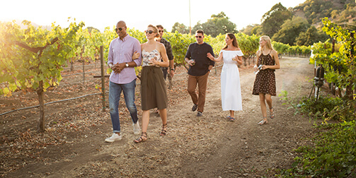 friends walking through vineyard drinking wine