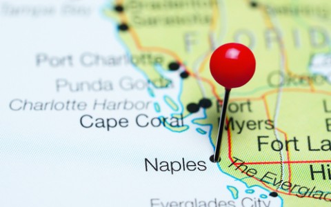 Fun and Educational Tour of Naples Inset
