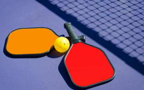 two colorful paddles with yellow ball on a purple court