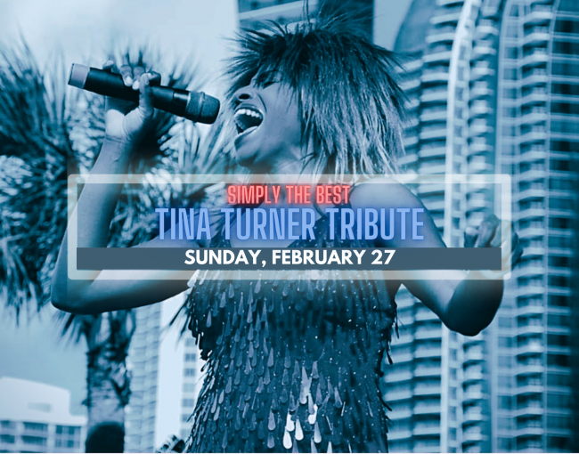 tina turner tribute