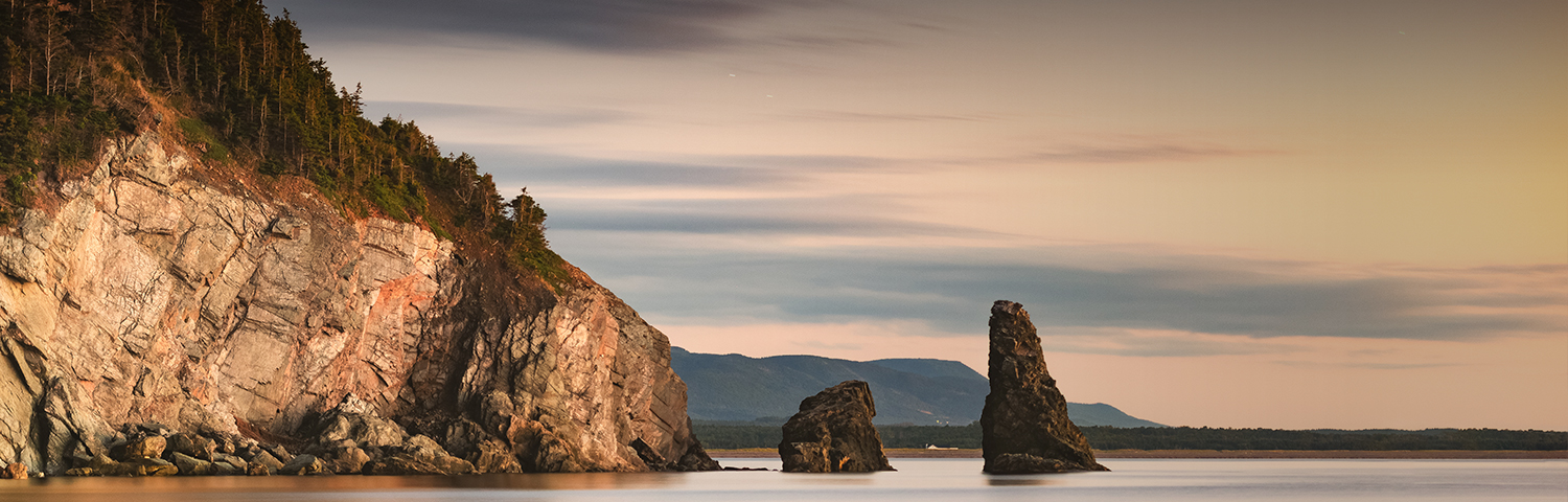 sunset of the coastline and ocean with pink and blue skys and green trees