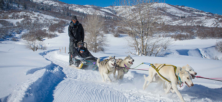 picture of a dog sled and some people