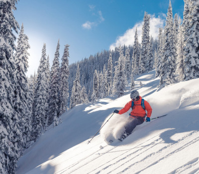 alpine skiing