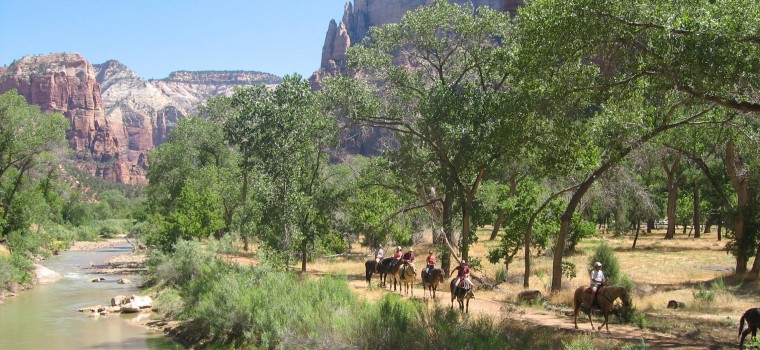 people horseback riding along the river