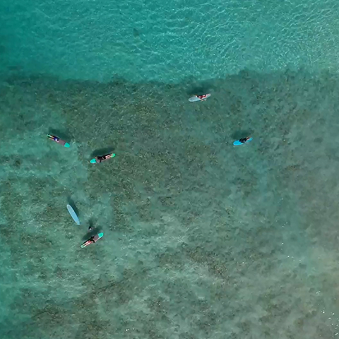 aerial shot of surfers in the ocean