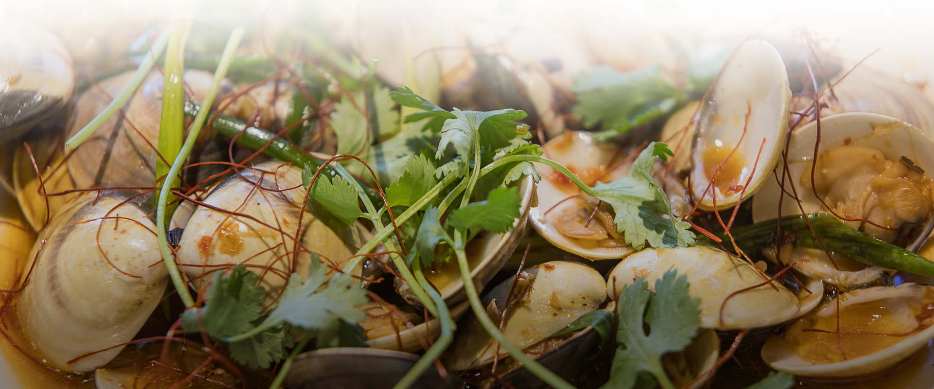 Steamed clams plated with fresh herbs 