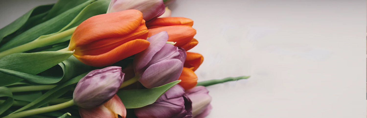 mothers day header