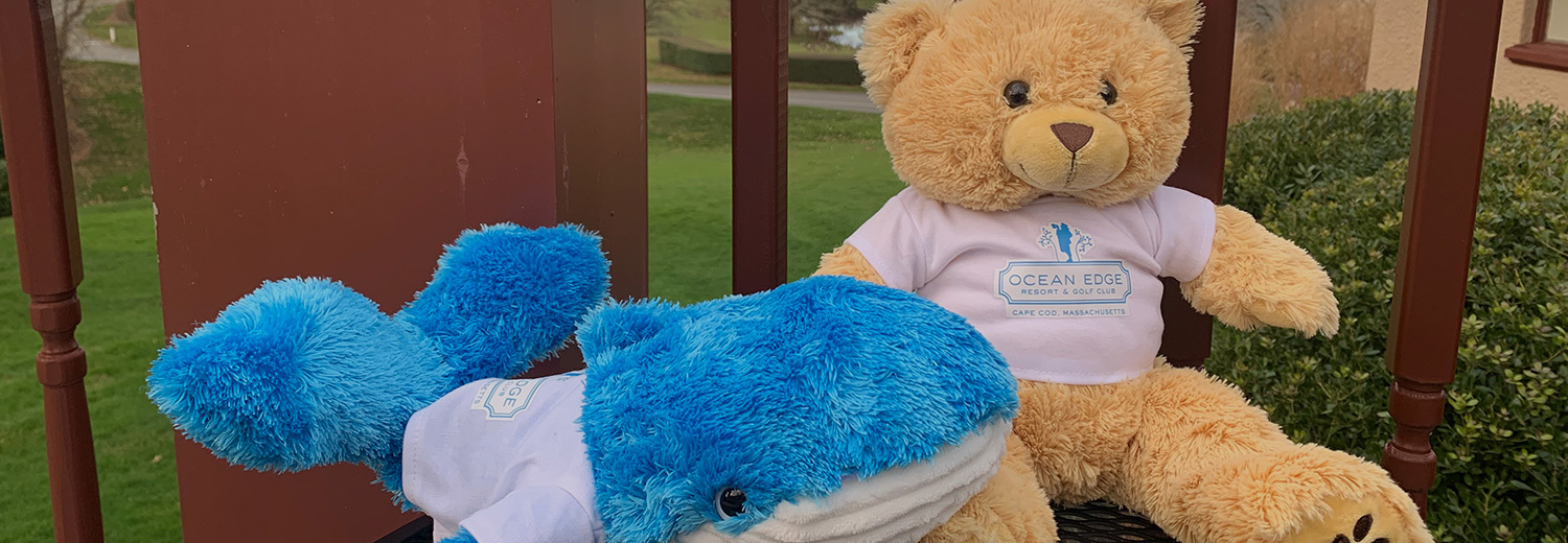 ocean edge bear header