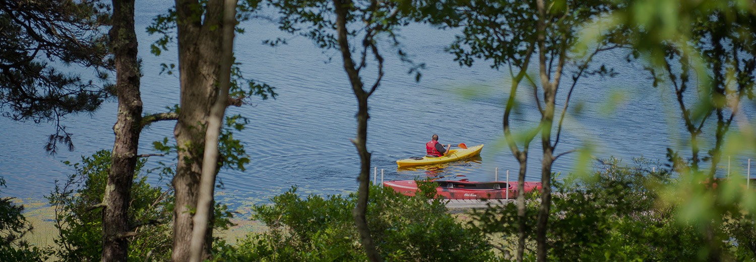 people in kayaks along the shore