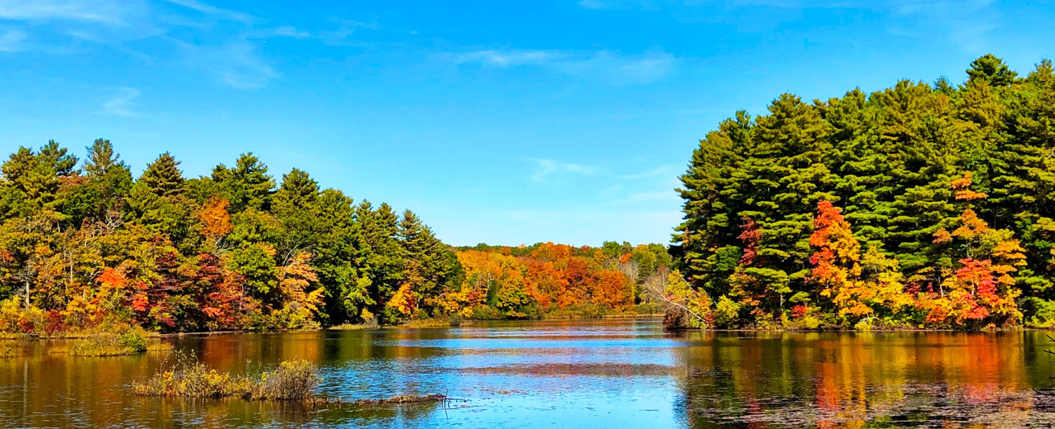 trees changing color in the fall on a lake