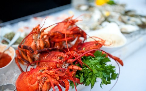 lobsters at seafood bar