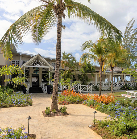 entrance to building with palm trees