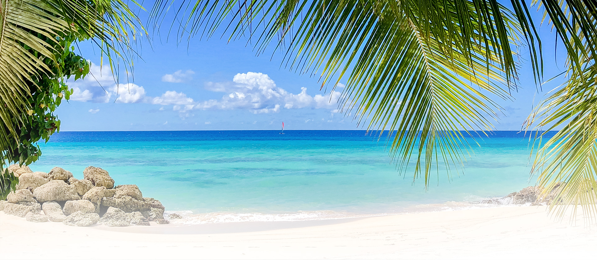 ocean view with palm trees above
