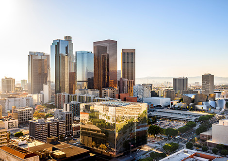 Los Angeles City View
