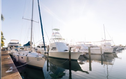 sail boats docked on the marina 