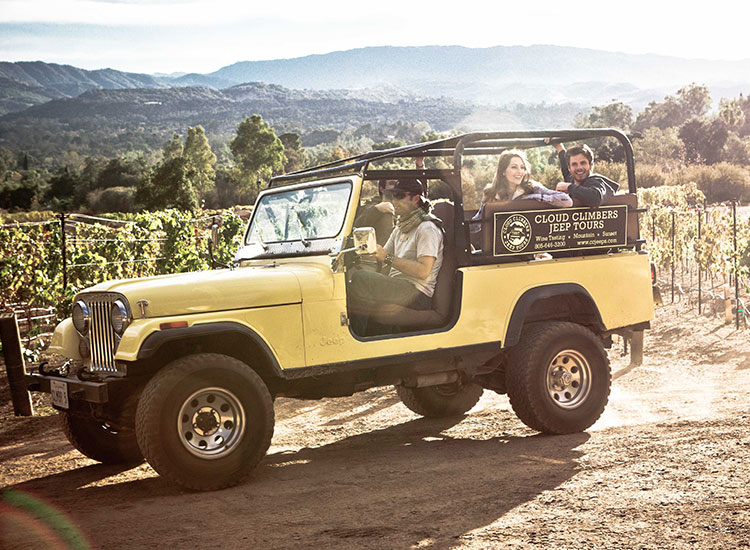 people riding in off road jeep through a vineyard
