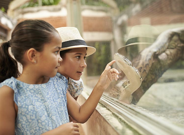 mom and daughter looking at snake behind glass