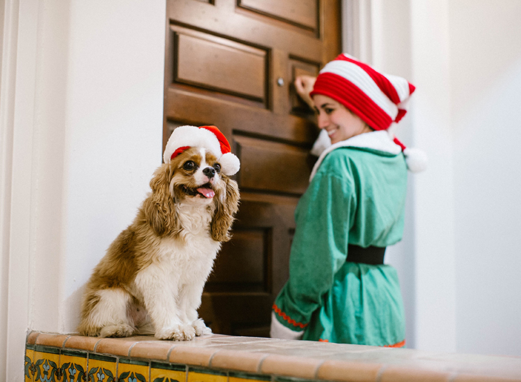 Woman dressed as an elf with a dog