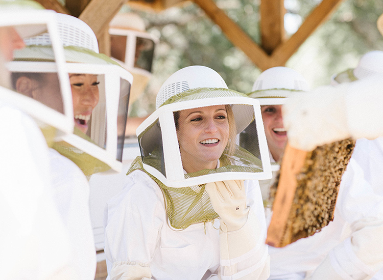 people in beekeeping suits looking at bees