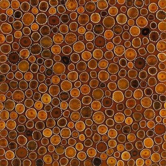 copper circles on a canvas