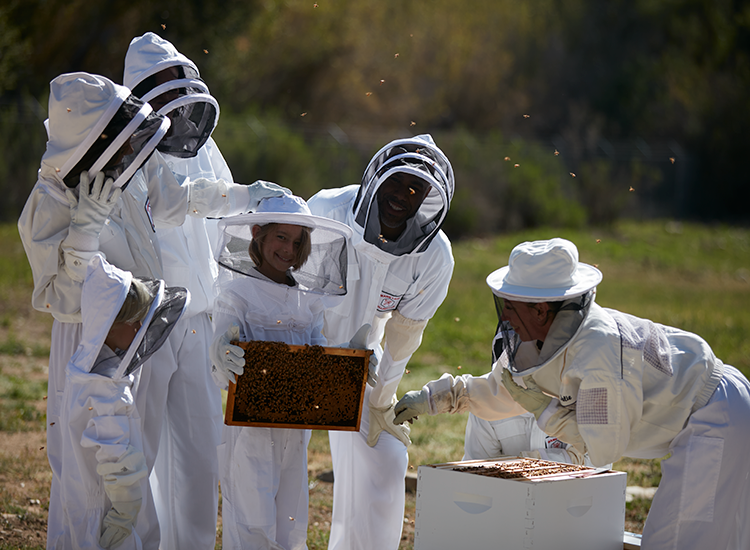 ovi_discover ojai_beekeeping_lifestyle2022_2527 1