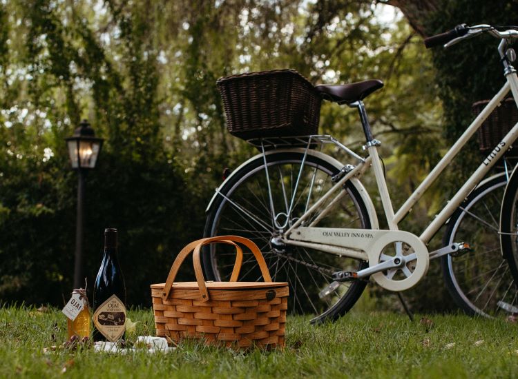 picnic and pedal resize