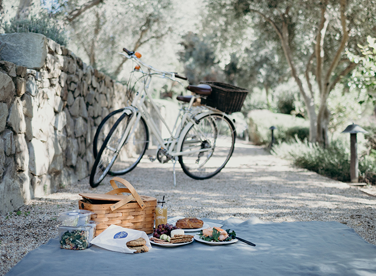 picnic set up with bike behind it